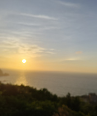 ���ʹ������Ҷ����������׷��ӣ���һ��20��ͷ�ĳ�