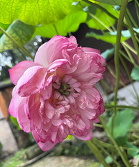 �ӹ����³���������һ��ɻ�