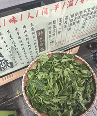 �������ʲô�������������Ҷ�������ڳ����ˣ���������