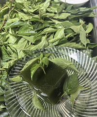 �������ʲô�������������Ҷ�������ڳ����ˣ���������