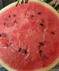 �����������3.5��������1.68