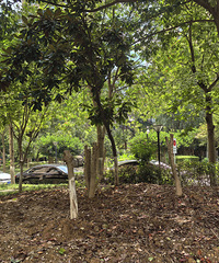 ������b�ֵ���С����ҵ��������һ��