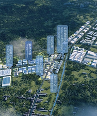 �彭�ֵ������Ͼɹ�ҵ�������ղ�������