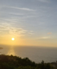 ���ʹ������Ҷ�������176���������׷���