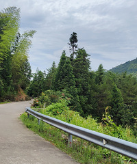 �����߹�����·����ȥǧ�׶�ߵ����иڿ��߶�Ӫ�������ɺ�����