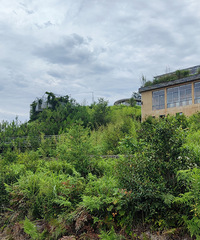 �����߹�����·����ȥǧ�׶�ߵ����иڿ��߶�Ӫ�������ɺ�����