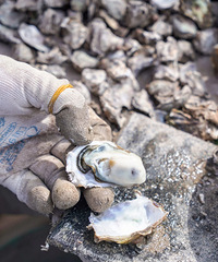 �Ҹ�ʱ��ȥ��ɣ���îʱ����ʱ�����㰲�ŵ����׶��ġ�