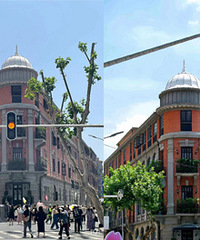 �ų�citywalk�컨��������·��������