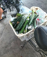 ��Ȱ����������������