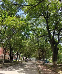 �����м������˺ܶ���Ĺ���ʣ�µ�Ǯ������ҽԺ��