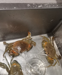 �������ʲô���Լ�����з���棬��ϲ��������