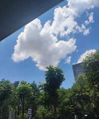 ��ͨ�˵�һ���о������ݱ������Ų�ͣ