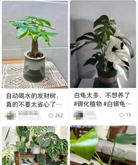 ��28����ƬҶ�ӣ�����С���������ϰ��裺���ź򻹵��ۿ졭