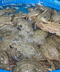 ���200Ԫһ������µ���̨���ϰ壺�������