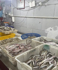 ���200Ԫһ������µ���̨���ϰ壺�������