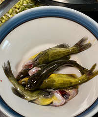 �������ʲô��·�ŵ���ɱ���������ܶ�����