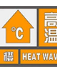 �������������³�ɫԤ����38������