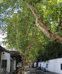 ��2024�μǡ����ݵ��ٹ��������ˮ�ϰ�ʿ7����