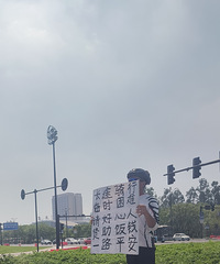 ������ļٵģ�����ͦ������