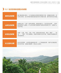 ����������������г���������ռ�����滮(2021-2035