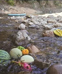 44.5�棡̨����ͦס��������Ҫ����