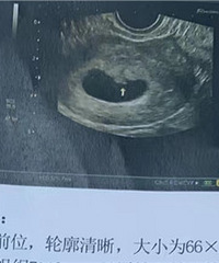 �ڴ��ҵ�������+��2024�����ռǡ�