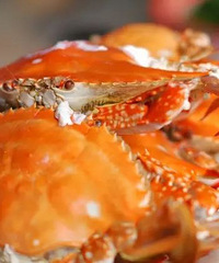 ��������Ȧ�з�����˰�������ˮӰ�����