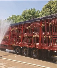 �ȡ��족�ˣ� һ��180ͷ ���˽䡱���������ˮǹΪ�����ܽ���