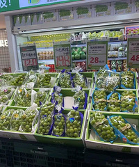 �۸��ٽ���ÿ�������λ��