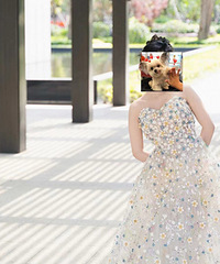 ����Ԥ��ÿ��ָ�Ч