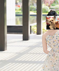 ����Ԥ��ÿ��ָ�Ч������Ȧ��������