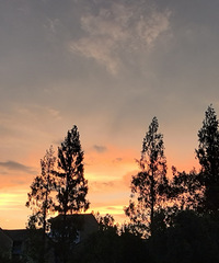 ���ɾ�һ���е�����Ͱ�������ɫ�������˵�