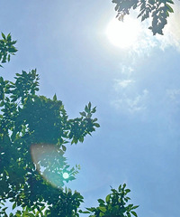 ̨����ʽ���룬���ڽ���8ʱ9��