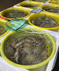 ����Ԫһ������µ����㽭���г�һ������15��̨�ݵ����