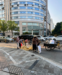 �ּ���ͷ��ֽ�°�߷��ڣ�����·�᲻���ջ���