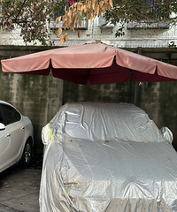 ���ֱ�С��������ˣ�û��֮һ