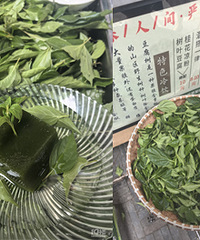 ��Ҷ��������ɫ���̵ģ�����˸�ûɶ����