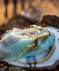 �ʵ�ü�ң�������һ��������ǧ�뺣���硱����һ�����óԡ��˵�~