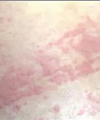 ���䡱�񣡴����ͱ���ѣ����ؽ���������