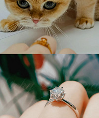 ����ʯ�����۾�