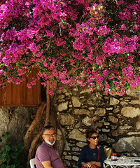 С��ׯ�Ŵ���ǡ