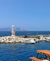 ���쿨ʲС�򣬿�ε���ĵ��к�