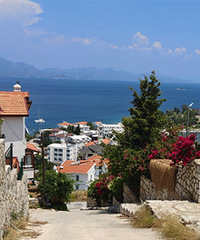 ��ǽ���ߵĴ���ǡС���ڰ�ɽ���۾����ҹ