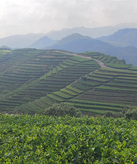 ̩˳ʫ��֮�ã����Ų�԰����ˮ�ֶ����λý���