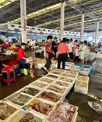 [�۸���]�����̨�ݵĺ��������г�����ĺñ��ˣ�