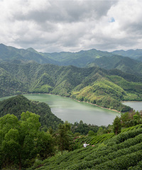 ��̨��ɽ���Ͱ����´�