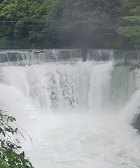 Ϫ������Ĺ���֮�䣬�����ٲ�ͻȻӿ��