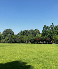 ����ɽ��԰�������룺���ԡ���ƺ����