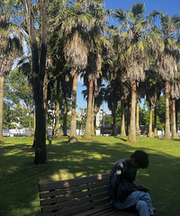 ����ɽ��԰�������룺���ԡ���ƺ����