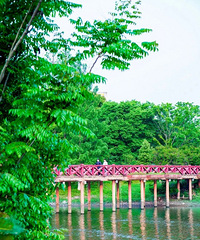 ̧ͷ����������Ĩ��ʢ���̡���̫�����ˣ�